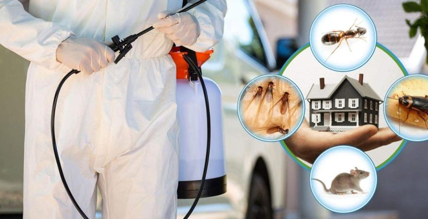 Ceylanpınar Böcek İlaçlama