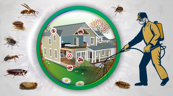 Ceylanpınar Böcek İlaçlama