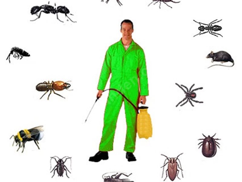 Ceylanpınar Böcek İlaçlama